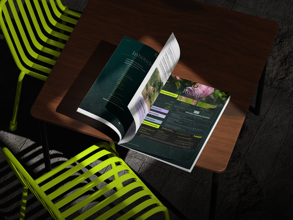 bladluis op roos, Horpi lieveheersbeestje larve