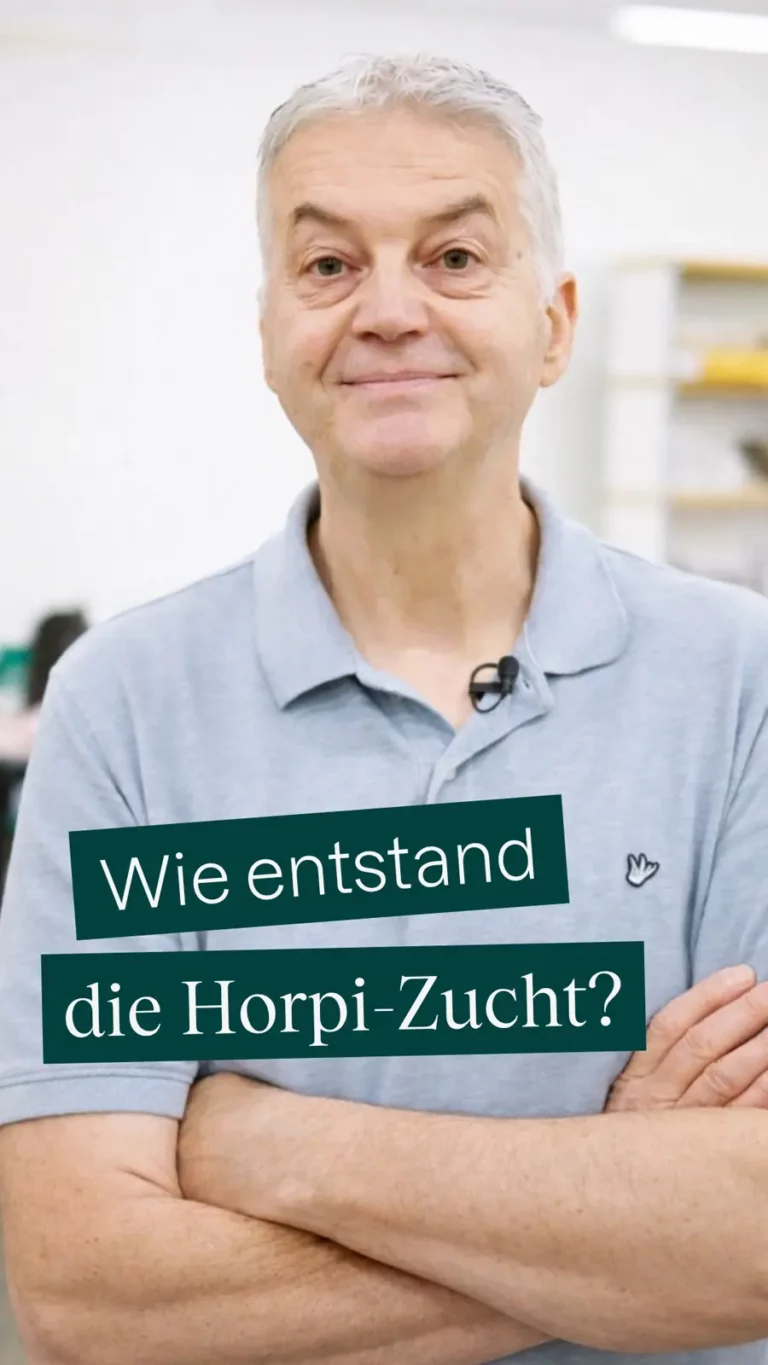 Wie entstand die Horpi-Zucht?