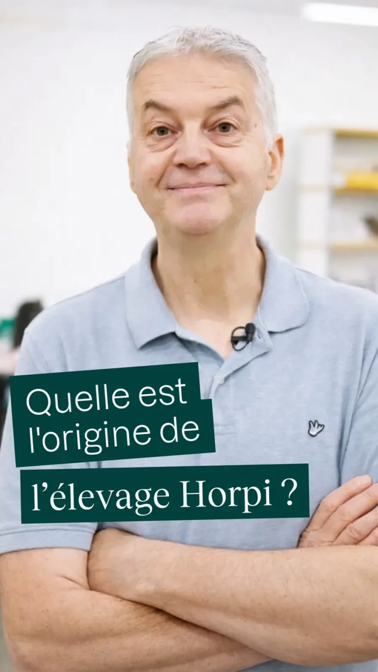 Quelle est l&rsquo;origine de l&rsquo;élevage Horpi ?
