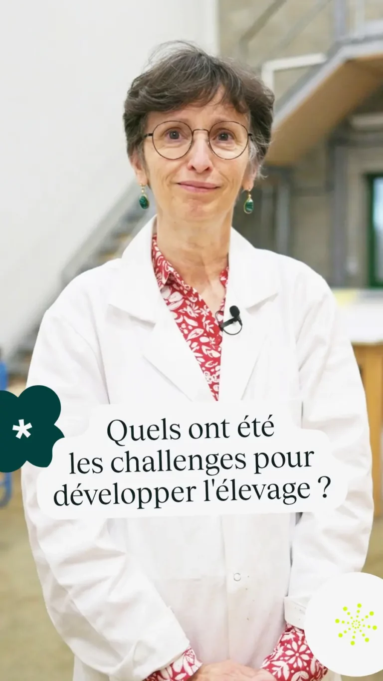 Quels ont été les challenges pour développer l&rsquo;élevage ?
