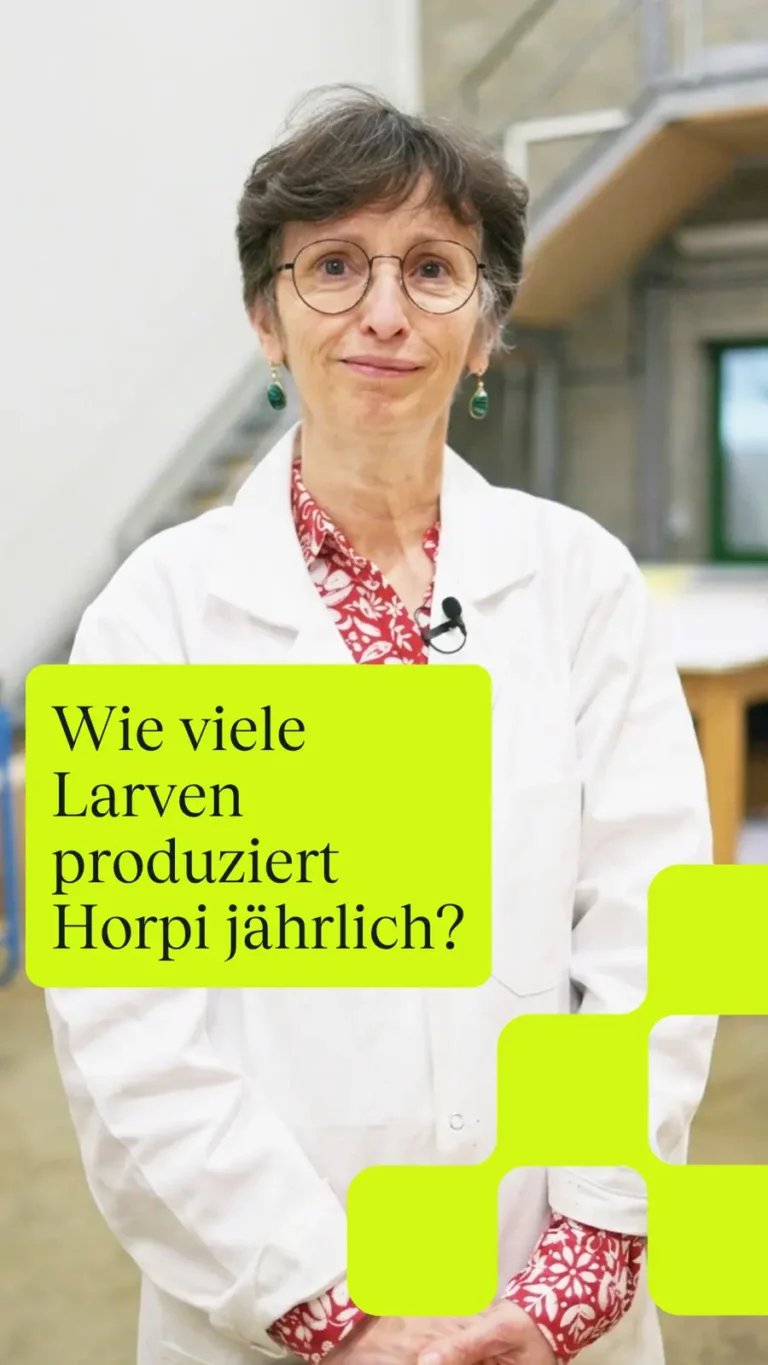 Wie viele Larven produziert Horpi jährlich?