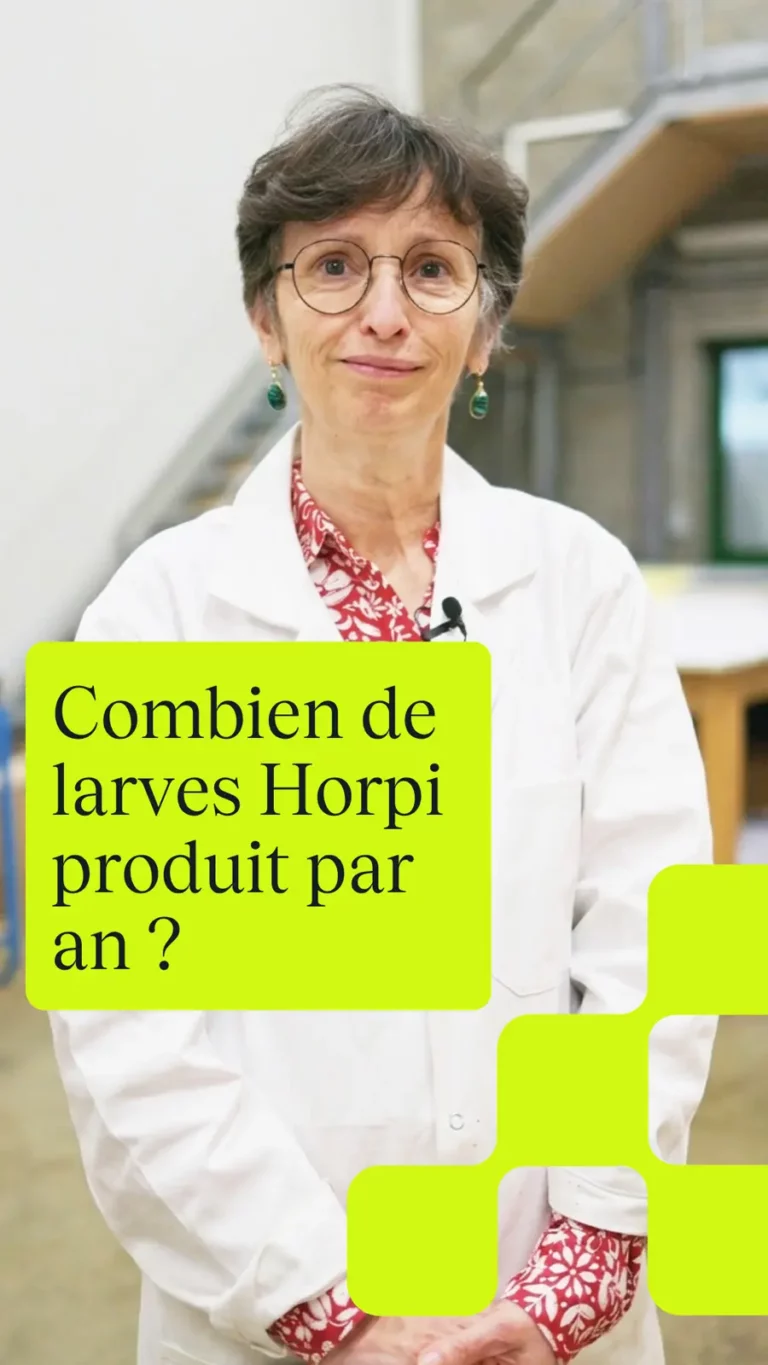 Combien de larves Horpi produit par an ?