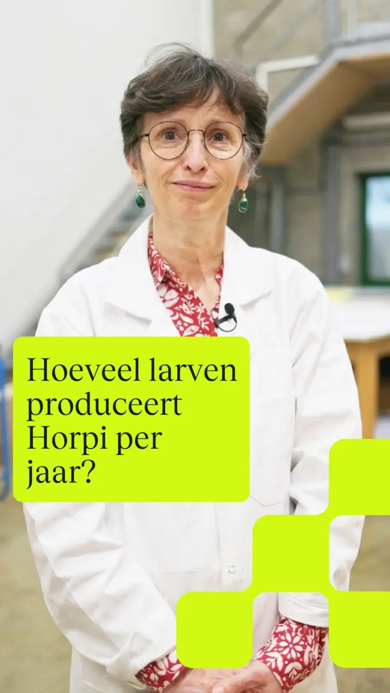Hoeveel larven produceert Horpi per jaar?
