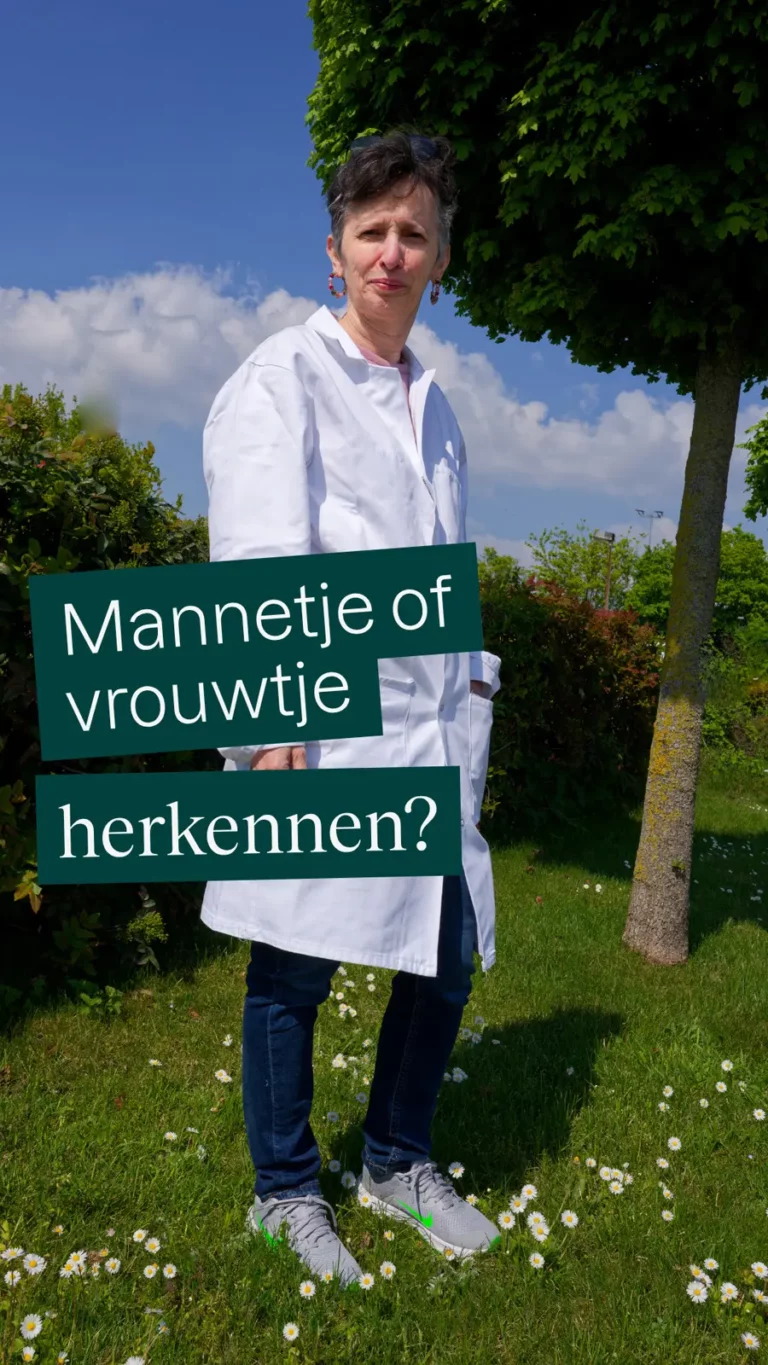 Mannetje of vrouwtje herkennen?