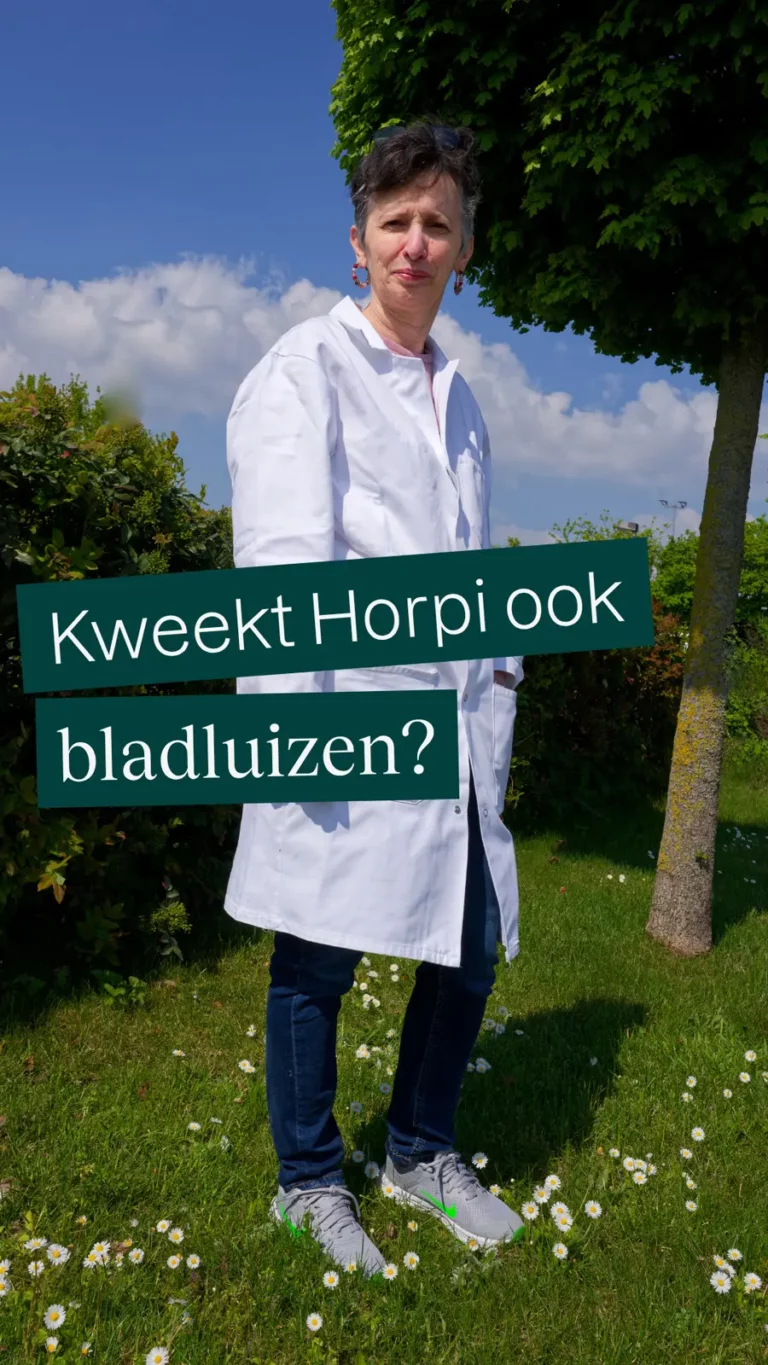 Kweekt Horpi ook bladluizen?