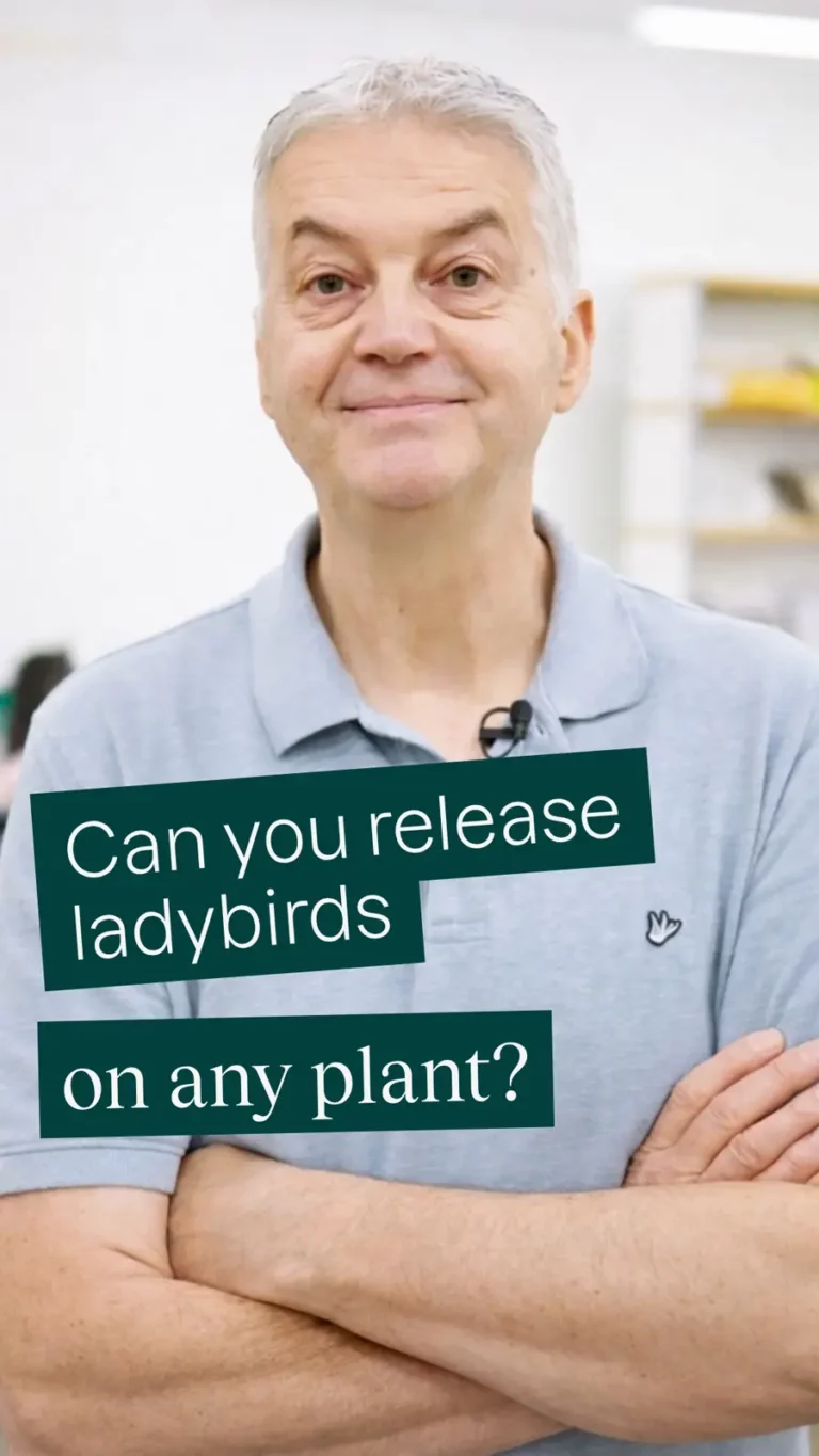 Can you release ladybirds on any plant?