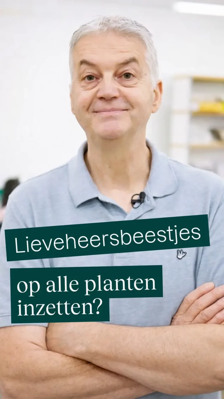 Lieveheersbeestjes op alle planten inzetten?