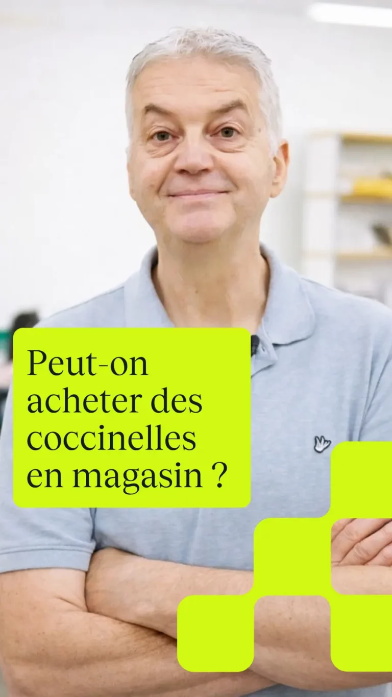 Peut-on acheter des coccinelles en magasin ?